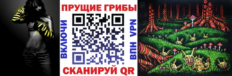 Псилоцибиновые грибы прущие грибы  kraken как зайти  Строитель 